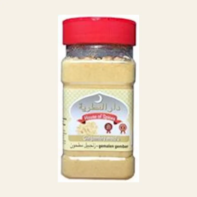 HS Ginger Ground Premium 100g X 20 — wholesale spices