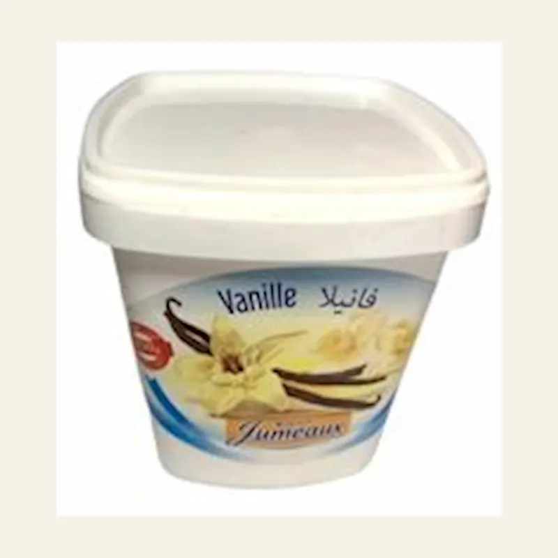 Jumeaux Vanilla Flavor (Arome vanille) ( 140gx24) — wholesale baking & sweets